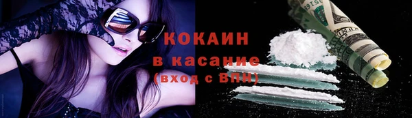 тгк Михайлов