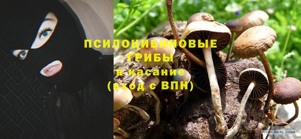 ALPHA-PVP Мегион