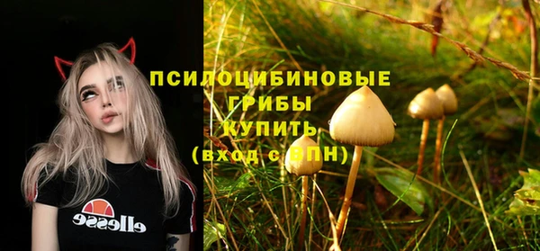 спайс Медвежьегорск