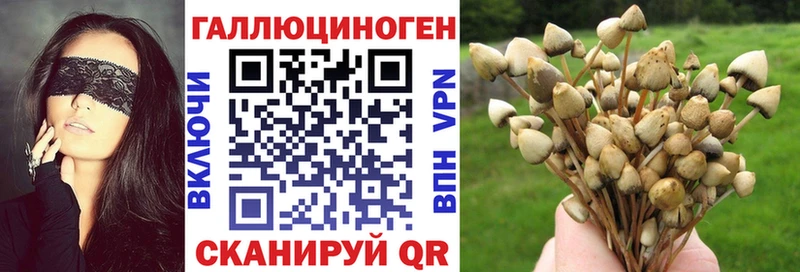 Псилоцибиновые грибы MAGIC MUSHROOMS  Лакинск 