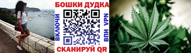 Каннабис ГИДРОПОН  купить наркотик  Лакинск 